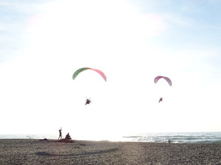 Paragliders in the sky