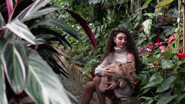 Attractive lady with long dark hair is posing with adorable lion cub on her knees among trees. Botanical garden. The small lion is trying to chew flowers