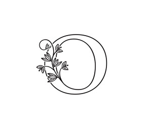 Nature letter O leaf icon logo design, floral logo O icon design. hand drawn floral with letter.