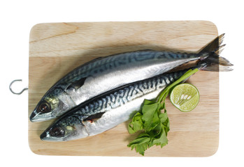 Fresh saba fish isolated on white background