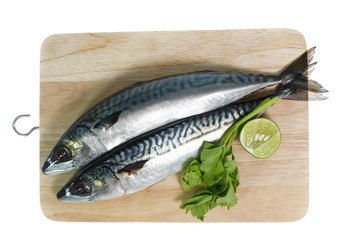 Fresh saba fish isolated on white background