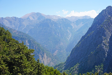 Fototapeta na wymiar Panorama view of the mountains of the Samaria Gorge and pine in the foreground. Crete, Greece