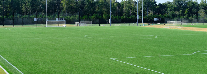 Green Grass on Soccer Field in a Park © dbvirago