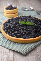 Fototapeta na wymiar Blueberry tart