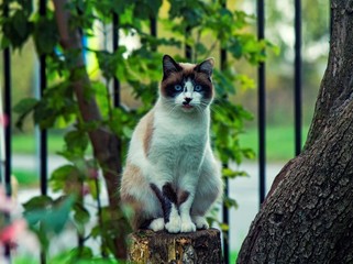 cat on a tree