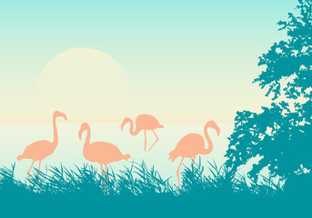 Realistic illustration of African landscape on sea shore with flock of flamingos, green-orange sky and rising sun, vector