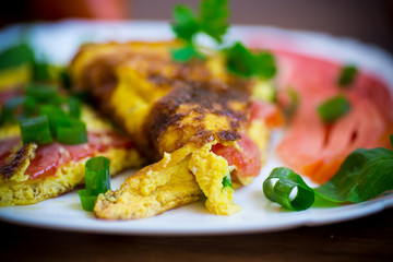 fried omelet from homemade organic eggs with tomatoes and green onions