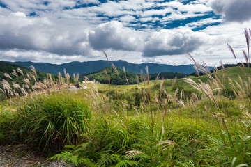 兵庫県 砥峰高原のススキと秋の風景