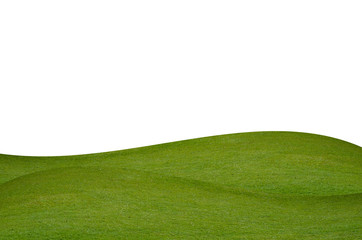 Green grass field isolated on white background with clipping path.