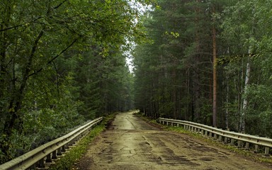 wooden bridge in the forest