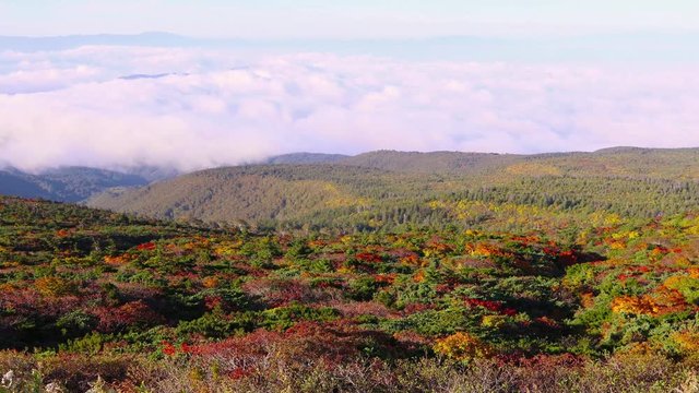 蔵王エコーラインからの雲海