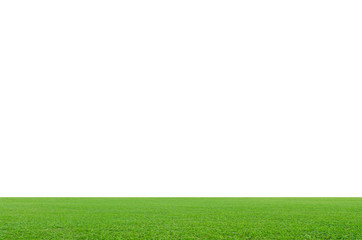 Green grass field isolated on white background with clipping path.