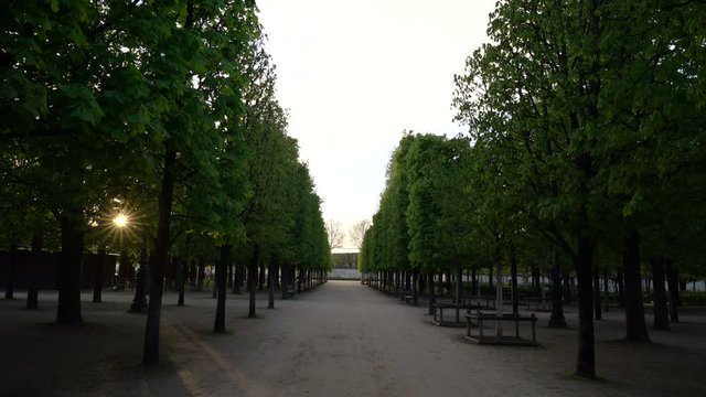 evening walk in the Tuileries Garden