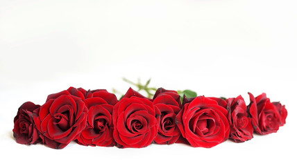 red roses, greeting card template