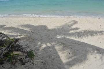 Beach Dream Paradise 