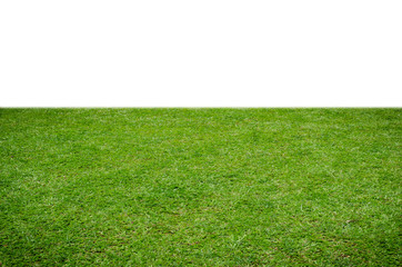 Green grass field isolated on white background with clipping path.