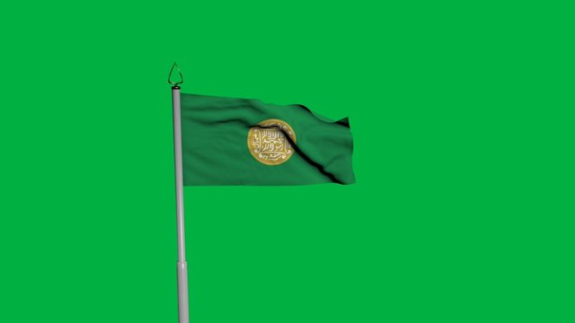 Rohingya Waving Flag on Wind on Green Screen or Chroma Key background. 1920 x 1080 Animation