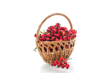 Fototapeta na wymiar ripe red dogrose in a basket isolated on white