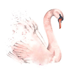 Cute swan, watercolor illustration on a white background. Design postcards and posters.
