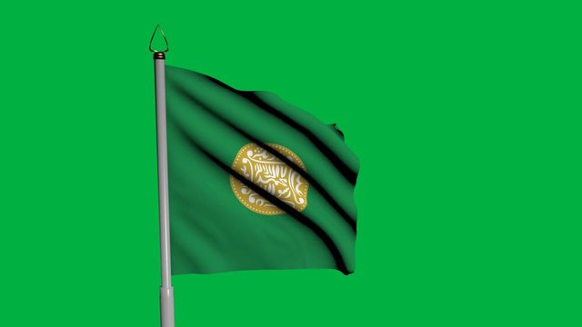 Rohingya Waving Flag on Wind on Green Screen or Chroma Key background. 1920 x 1080 Animation