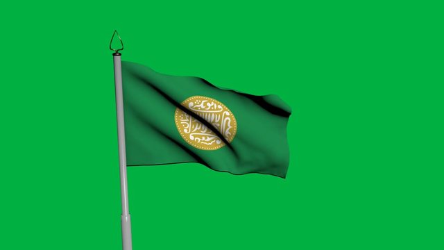 Rohingya Waving Flag on Wind on Green Screen or Chroma Key background. 1920 x 1080 Animation