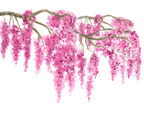 Pink Cherry Blossom tree border watercolor painting hand drawn on isolated white background