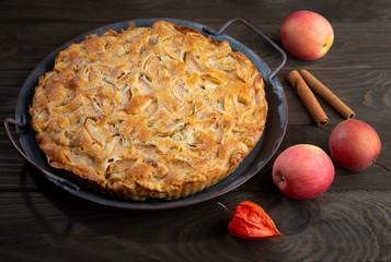 Homemade apple pie on vintage tray, apples, physalis and cinnamon sticks on wooden dark brown background.