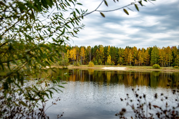 Осень в "Сказке"