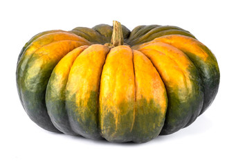 enormous overripe green and yellow pumpkin isolated on white background. autumn harvest creative concept