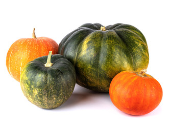 four green, red and yellow pumpkin isolated on white background. autumn harvest creative concept