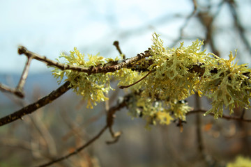 Naturaleza