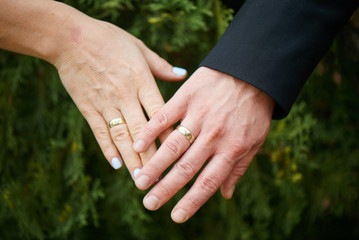 Hands of the bride and groom with wedding rings, a man makes a marriage proposal to a woman, romantic wedding photo