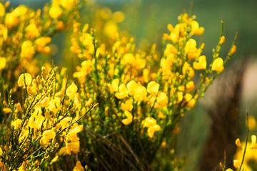 Obraz premium Naturaleza