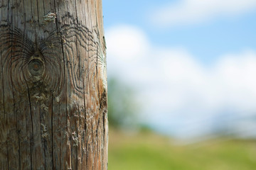 Naturaleza