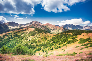 Natural Slovakian - Polish boarder in Western Tatra Mountains - colours of fall in mountains