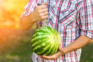 Fototapeta na wymiar watermelon in the hands of a guy on nature in the park
