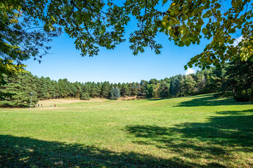 Green lawn in the middle of the park, a warm sunny autumn day