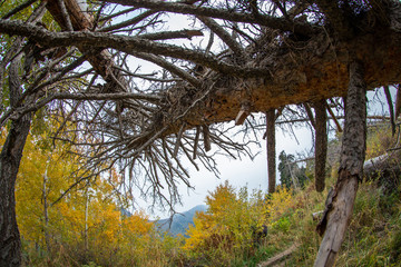 Allphotokz Kok Zhailau 20150927 7195 5DM3