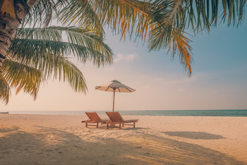Wonderful sunset scenery. Beach landscape for summer vacation or holiday concept. Luxury resort beach view, loungers and umbrella under palm trees and twilight sunset sky