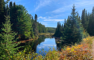 Fall morning along Costello Creek in Algonquin Park, Canada