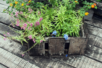 Green plants and flowers growing in the wooden pot