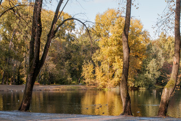 Old park in the fall.