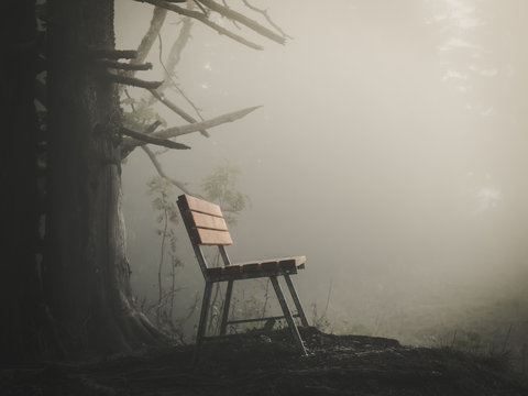 Bank im Nebel