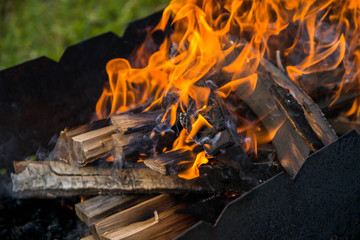 In the grill burning wood. Preparation of coals for barbecue.