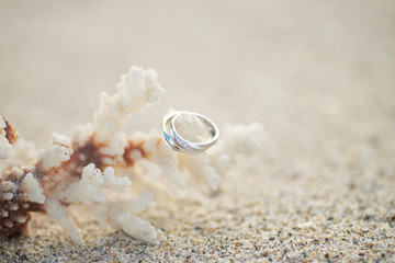 Fototapeta na wymiar サンゴと指輪