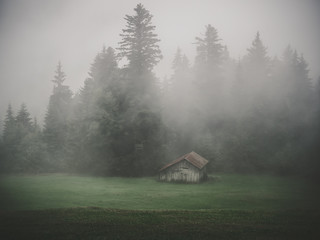 Holzhütte im Nebel 