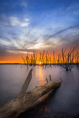 Cedar Bluff State Park, KS USA - The Setting Sun through the Sunken Tree Logs