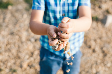 a boy in a blue shirt scatters stones