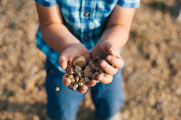 a child in a blue shirt holds stones in his palms
