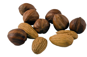 Hazelnut and almond nuts on a white background